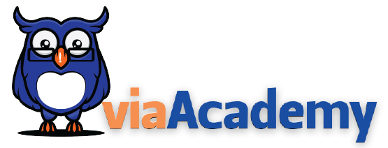 Viamericas Home Page